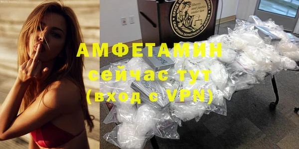 сатива Абаза