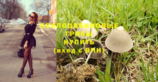 сатива Абаза