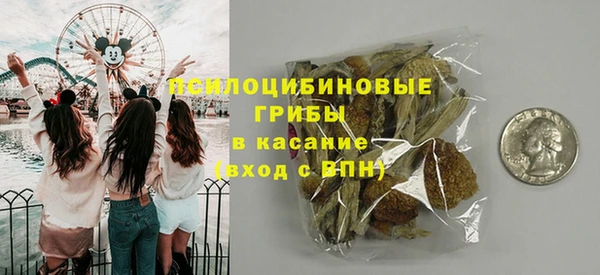 бошки Алзамай
