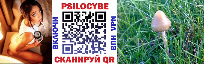 ссылка на мегу как зайти Электрогорск Галлюциногенные грибы прущие грибы