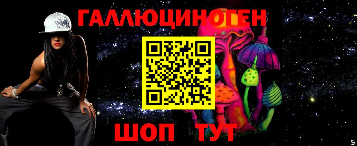 Псилоцибиновые грибы прущие грибы  Галлюциногенные грибы GOLDEN TEACHER  Электрогорск  Вход с VPN 